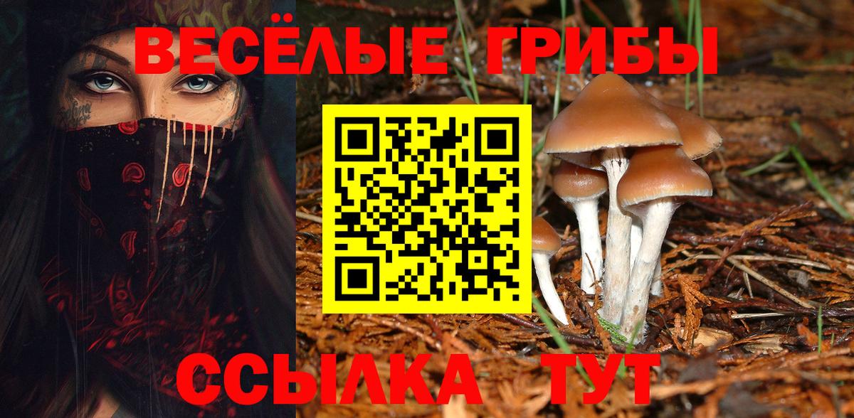 Галлюциногенные грибы Magic Shrooms  Вход с VPN  сколько стоит  Кудрово 